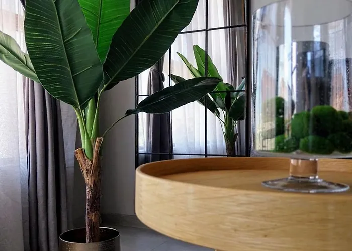 شقة Ika Delux بورغاس